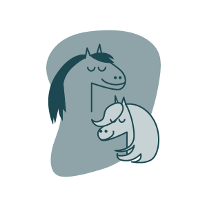 Illustrations de la page A propos de Carton Graphique, par Mathilde Vassallo.