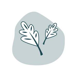 Illustrations de la page A propos de Carton Graphique, par Mathilde Vassallo.