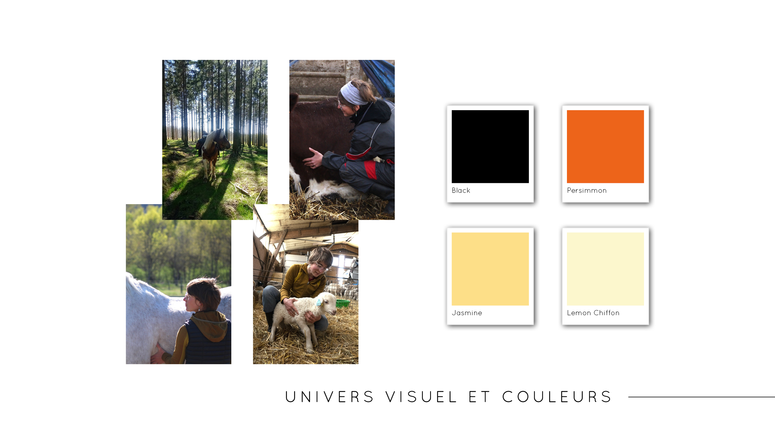 Univers visuel de Fanny Sirguey, par Mathilde Vassallo pour Carton Graphique.