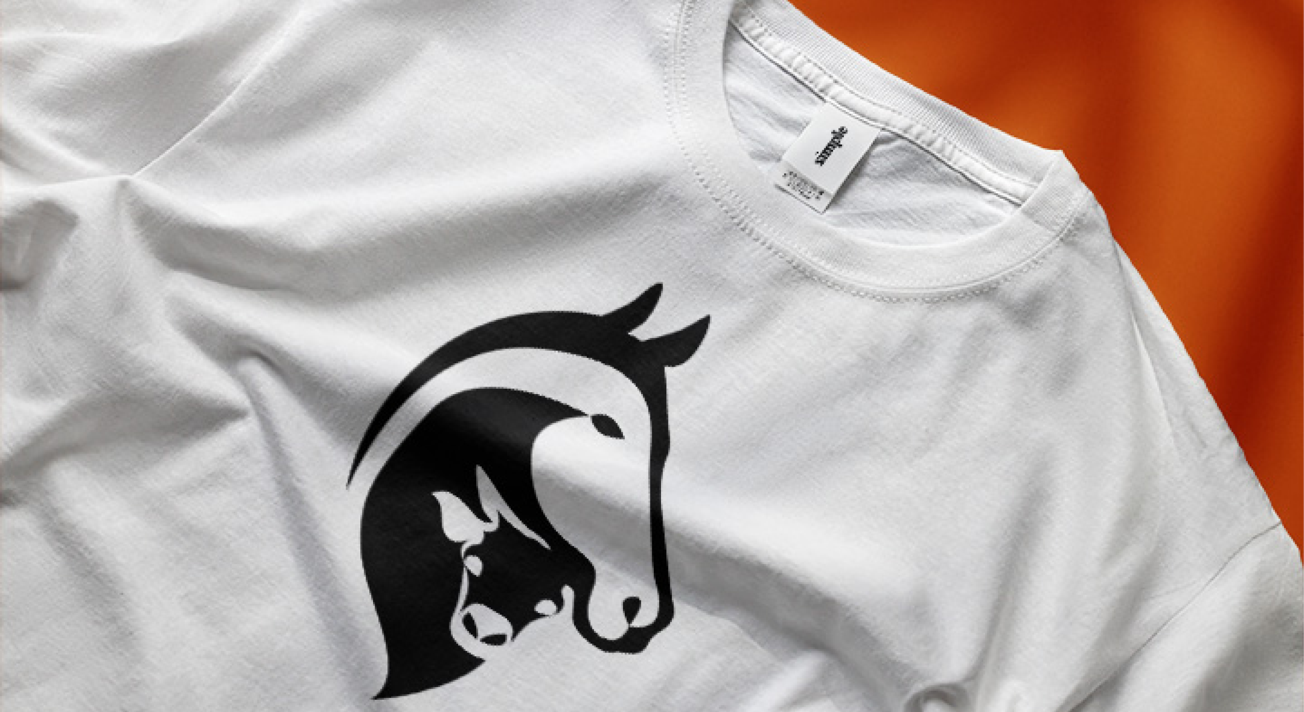 Maquette du logo de Fanny Sirguey, par Mathilde Vassallo pour Carton Graphique.