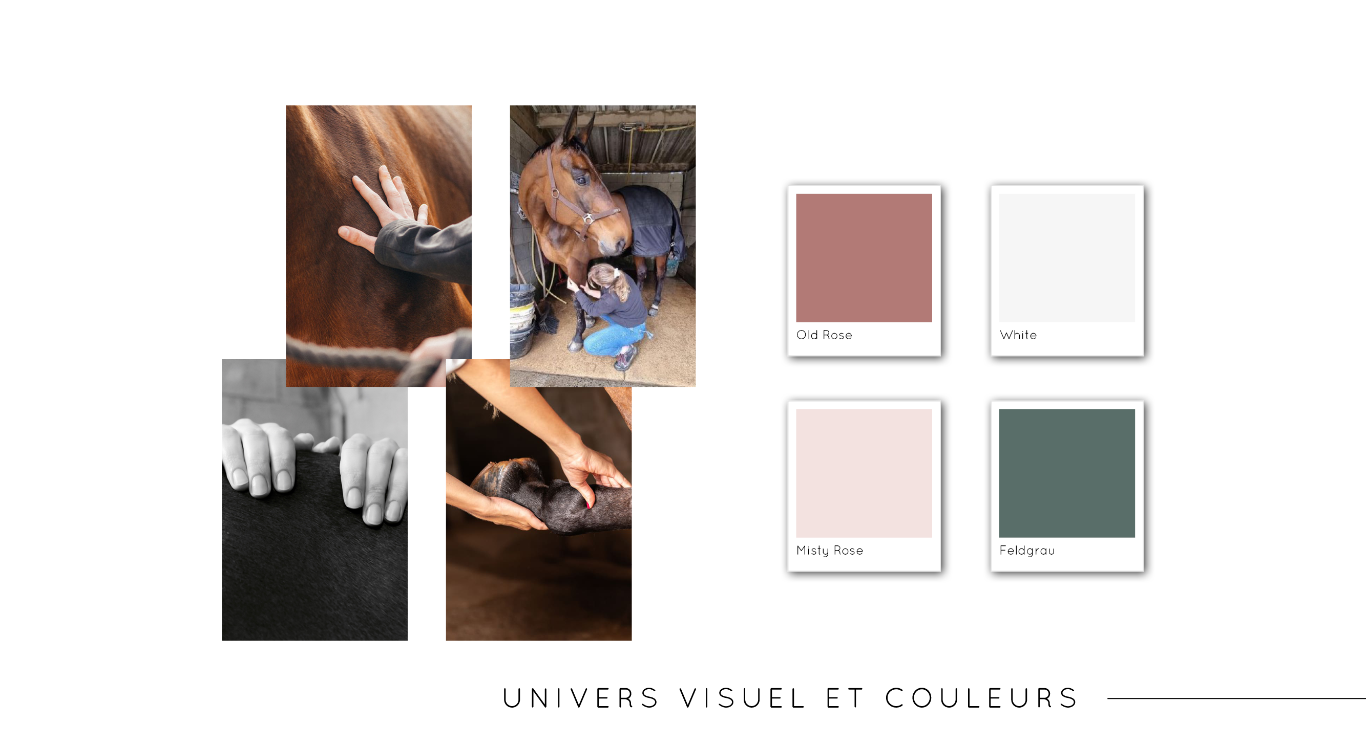 Univers visuel de Horsewe'll, par Mathilde Vassallo pour Carton Graphique.