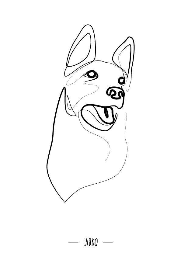 Portrait de Lasko, par Mathilde Vassallo pour Carton Graphique.