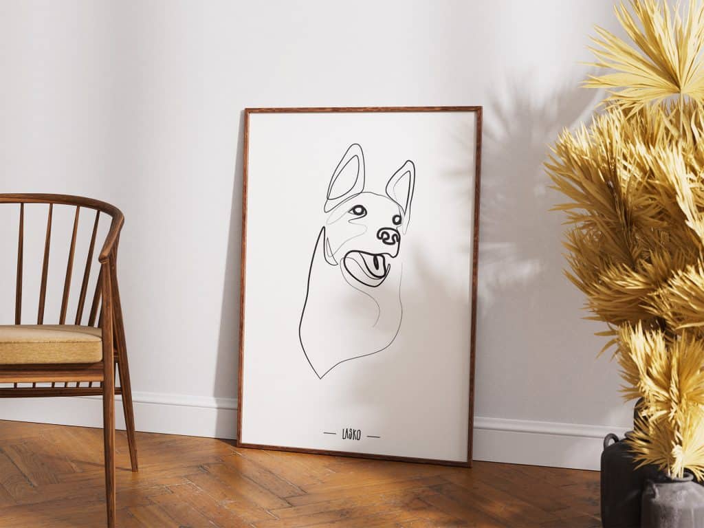 Portrait de Lasko, par Mathilde Vassallo pour Carton Graphique.