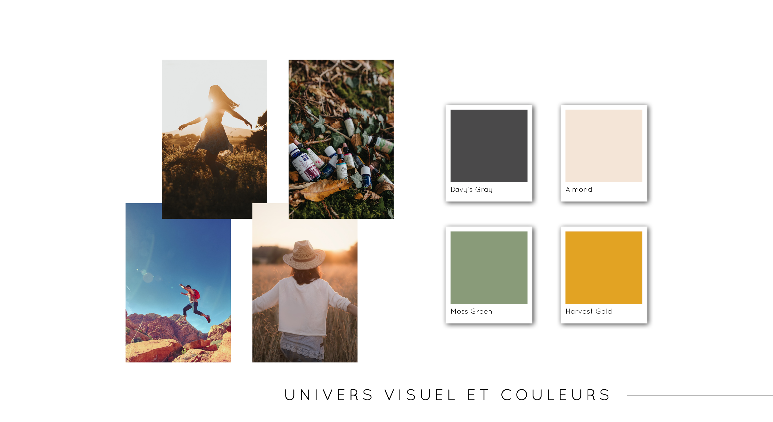 Univers visuel de Revivre Ô Naturel, par Mathilde Vassallo pour Carton Graphique.